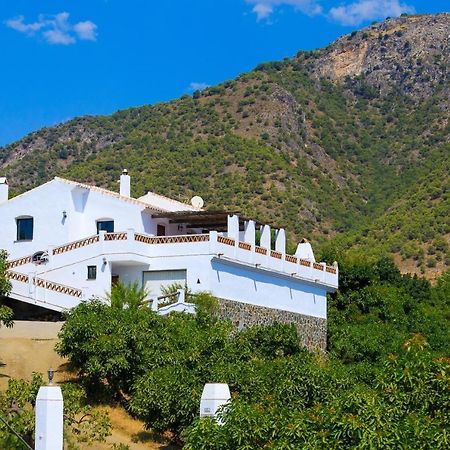 הוילה פריחיליאנה Cortijo Los Madronos מראה חיצוני תמונה